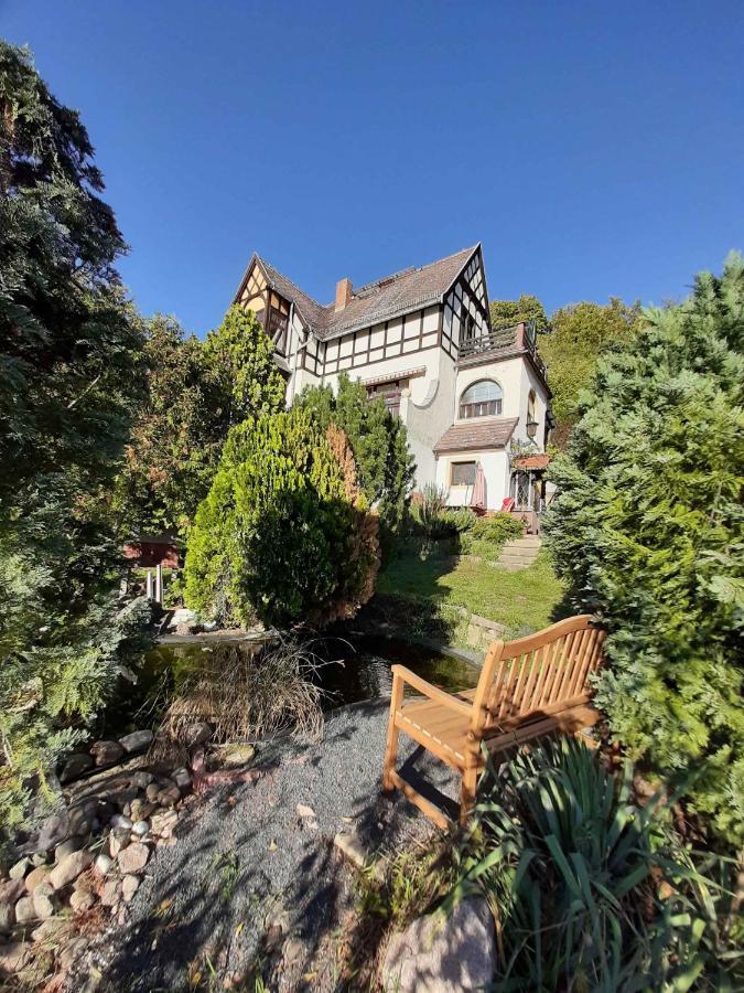 Ferienwohnung Elbsommer Am Weinberg Meißen Esterno foto